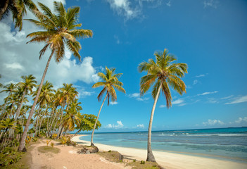 Amazing landscape in the wil beach Playa Bonita, Las Terrenas, Dominican Republic