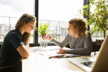 Two young women working, sketching and designing. Using a laptop, sitting at their desk.