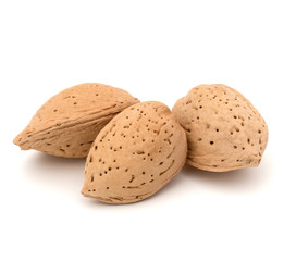 Almond nut in shell isolated on white background close up