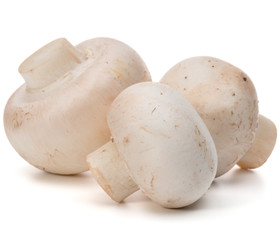 Champignon isolated on white background cutout