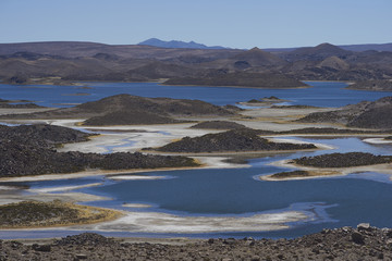 Lagunas de Cotacani in Lauca National Park high on the Altiplano of northern Chile.