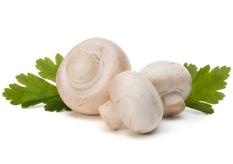 Champignon and parsley herb still life isolated on white background cutout