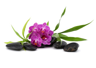 Zen pebbles and orchid flower. Stone spa and healthcare concept.