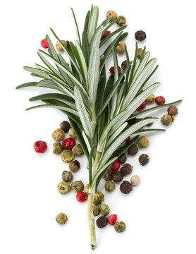 rosemary herb spice leaves and peppercorns isolated on white background cutout
