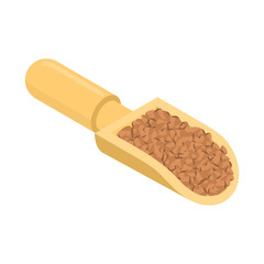Buckwheat in wooden scoop isolated. Groats in wood shovel. Grain on white background. Vector illustration