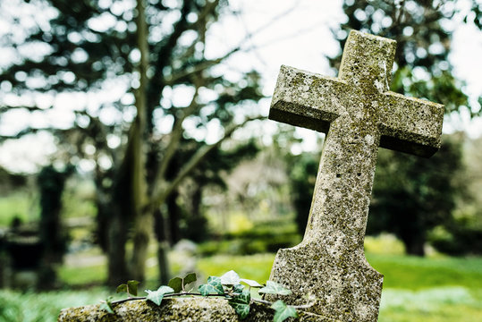Cross gravestone in a graveyard
