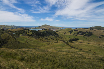 Otago Views