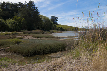 Otago Peninsula