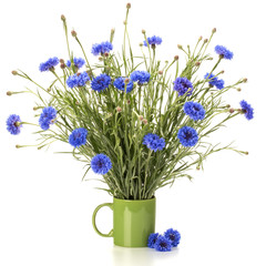 Blue Cornflower Herb or bachelor button flower bouquet isolated on white background cutout
