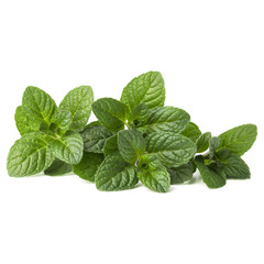 Fresh mint herb leaves isolated on white background cutout © Natika
