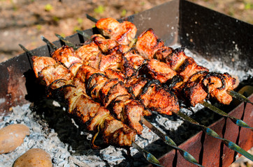 Cooking barbecue in nature.