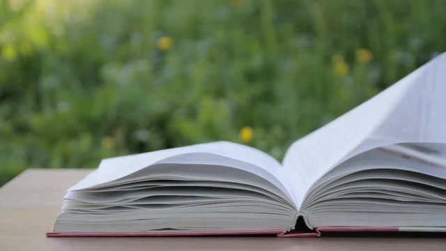an open book on the garden table, the wind turns the pages