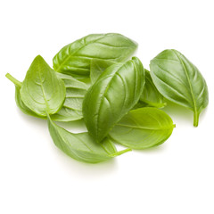 Sweet basil herb leaves handful isolated on white background closeup