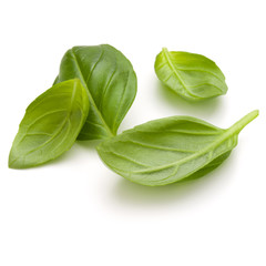 Sweet basil herb leaves handful isolated on white background closeup