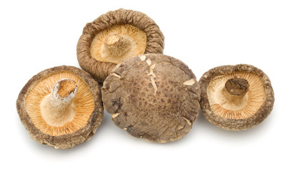 Dried Shiitake Mushroom isolated on white background
