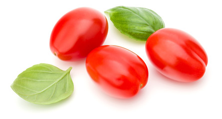 fresh plum tomato with basil leaf isolated on white background