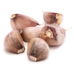 garlic cloves isolated on white background cutout