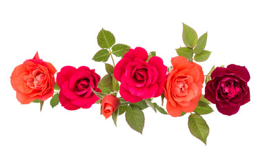 colorful rose flower bouquet with green leaves isolated on white background cutout