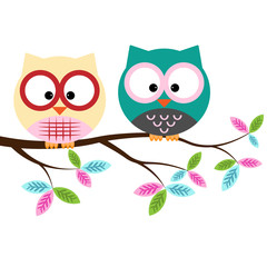owls on a branch