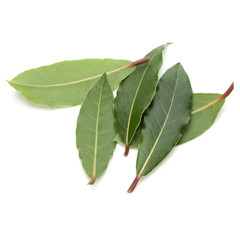 Fototapeta premium Aromatic bay leaves
