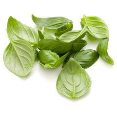 Sweet basil herb leaves handful isolated on white background closeup