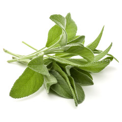 Obraz premium Sage herb leaves bouquet isolated on white background cutout.