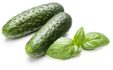 Cucumber vegetable and basil leaves isolated on white background cutout