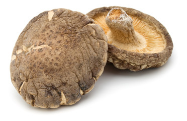 Dried Shiitake Mushroom isolated on white background