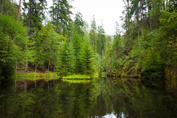Reflection of forest in small lake in the rock mountain Adrspasske skaly, Czech republic