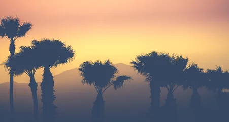 Papier Peint photo autocollant Sécheresse Palmiers du désert de montagne