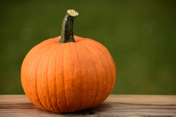 pumpkin on a board with green bokeh background