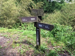 Indications in the trail