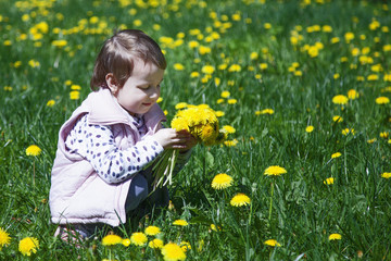 Beautiful child girl collects bouquet  of wildflowers. Place for text. (Recreation, summer, nature, vacation concept)