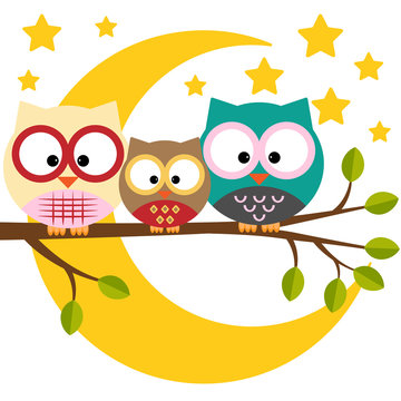 Three owls on a branch on a night moon sky background