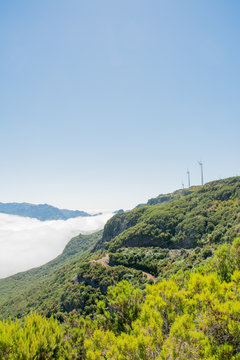 Windr&auml;der in einer Reihe auf dem sonnigen H&uuml;gel &uuml;ber dem Nebelmeer
