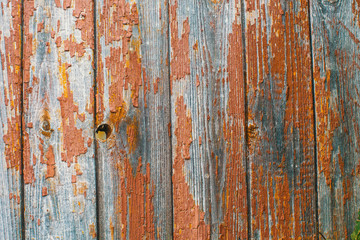 Peeling paint on old wooden rustic material on the wall. Wood texture backgrounds.