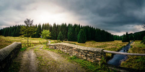 Straße über eine Brücke in der Natur im Erzgebirge