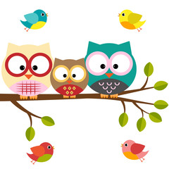 Fototapeta premium Owls family on a branch with birds