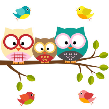 Owls family on a branch with birds