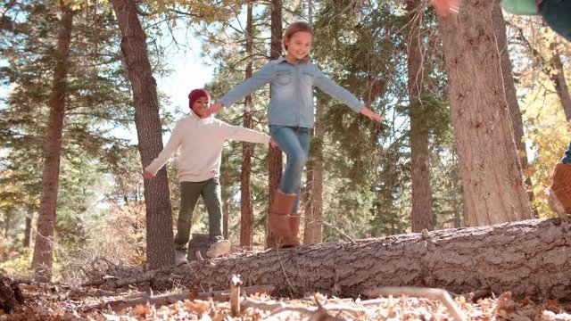 Three kids balancing on a fallen tree in a forest