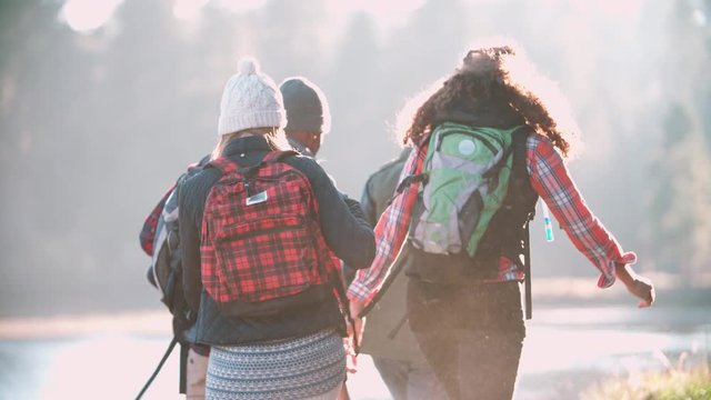 Five friends on camping trip walking near lake, back view