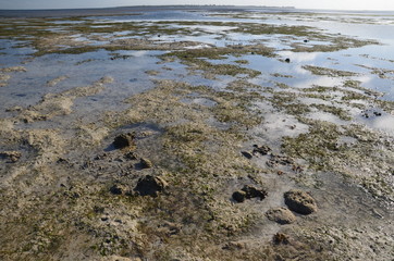 Seascape island Benguerra. Mozambique