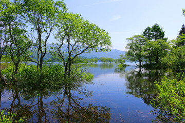 Fototapeta na wymiar 初夏の桧原湖（北塩原村）