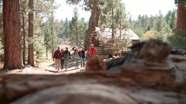 Six friends walk past log cabin in a forest towards camera