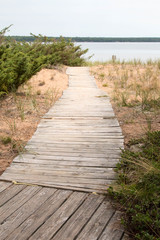 Fototapeta na wymiar Wood beach on Madeline Island in Lake Superior