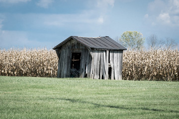 Old Farm Shed
