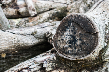 Logs, Lumber, Piece of wood