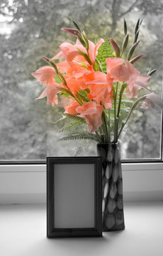 bouquet of coral gladiolus in a vase and a frame for inscription (photo) on a black and white background (window). Vintage. Artistic image: bright colors among gray dull withering autumn nature