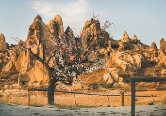 Natural volcanic rocks with ancient cave houses and tree with wish ribbons in Goreme Open Air...