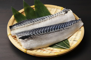 鯖　Mackerel